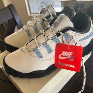 Nike SB Darwin low 
New box included